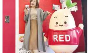 大学生创业项目类型，多元化探索与独特亮点