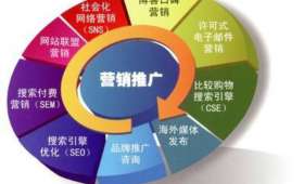 电商运行干货分享，从运营实践到策略提升的提问式解析